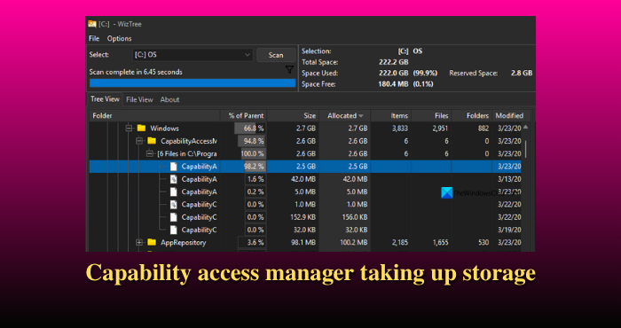 Capability access manager taking up storage