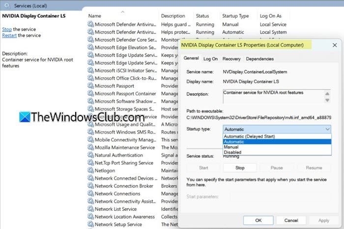 NVIDIA Display Container LS service NVIDIA Display Container LS service