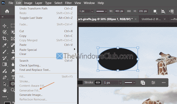 check the layer type check the layer type