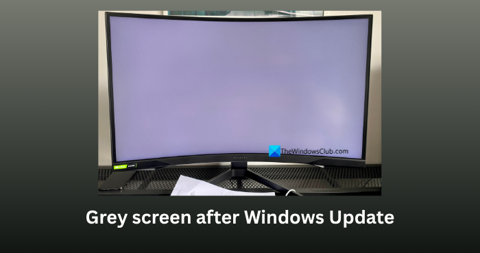 grey screen after windows update