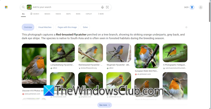 Bing Visual Search Bing Visual Search