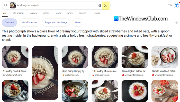 Visual Search