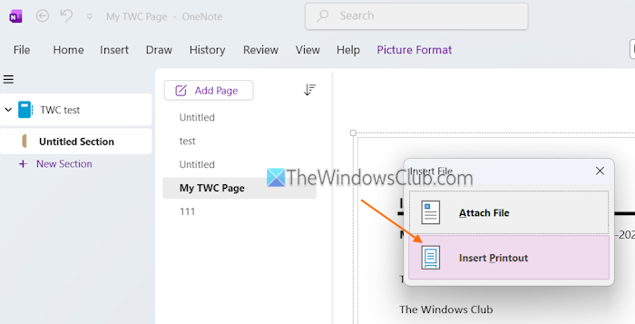 add pdf as insert printout