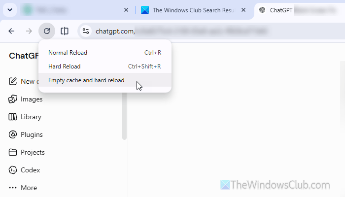 ChatGPT showing blank screen