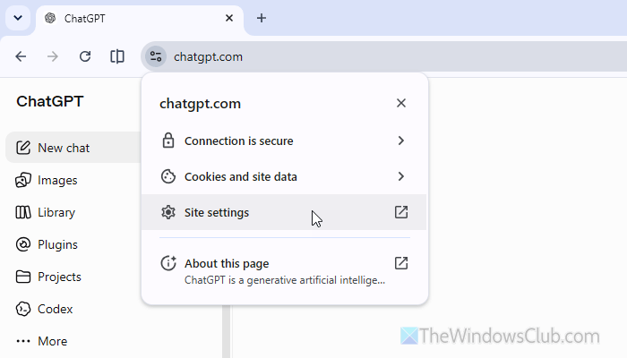 ChatGPT showing blank screen