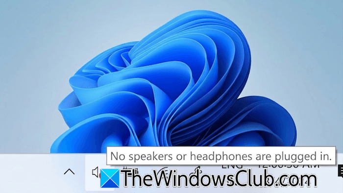 No speakers or headphones are plugged in