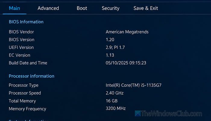 Task Manager showing wrong Uptime in Windows 11